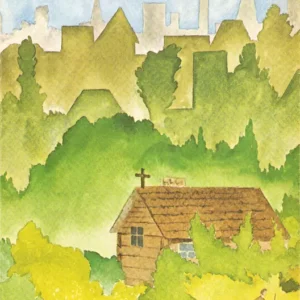 Anniversary Reflections - 1856-1981 A History of Hamilton Diocese